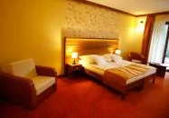 Aranybánya Családi Wellness Hotel Telkibánya