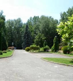 Hotel Orchidea Tengelic