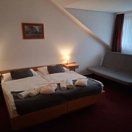 Thermal Hotel Tengelic Tengelic - Egyéb