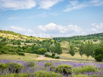 Levendulamező Tihany