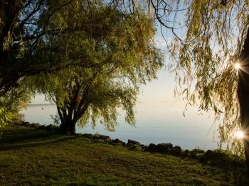 Sajkodi Strand Tihany