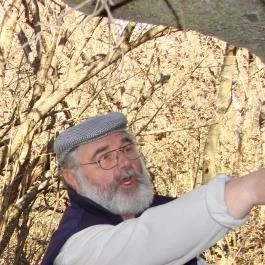 András Vendégház Tihany - Egyéb