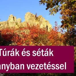 András Vendégház Tihany - Egyéb