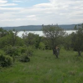 Klára Apartmanház Tihany - Medence/kert
