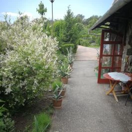 Klára Apartmanház Tihany - Medence/kert