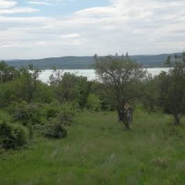 Klára Apartmanház Tihany - Medence/kert