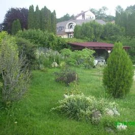 Klára Apartmanház Tihany - Medence/kert