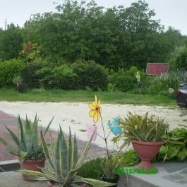 Klára Apartmanház Tihany - Medence/kert