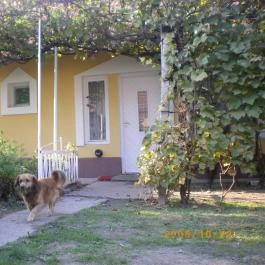 Kertész Vendégház Tiszaalpár - Medence/kert