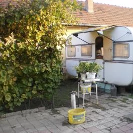 Kertész Vendégház Tiszaalpár - Medence/kert