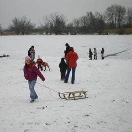 Kertész Vendégház Tiszaalpár - Egyéb