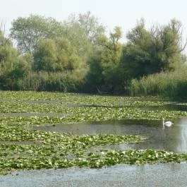 Kertész Vendégház Tiszaalpár - Egyéb