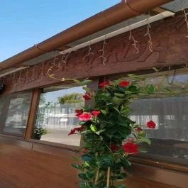 Tiszacsegei Halászcsárda és Panzió Tiszacsege - Vendéglátás