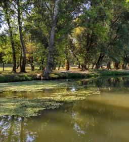 2. legjobb látnivaló: MC Tisza-tó Vízitúra