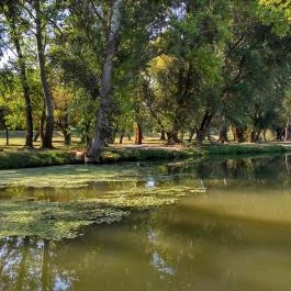 MC Tisza-tó Vízitúra Tiszafüred - Egyéb