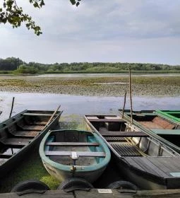 4. legjobb látnivaló: Albatrosz kikötő