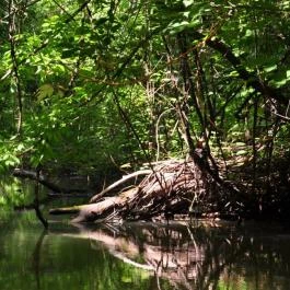 Apartman Tavi-Lak Tiszafüred - Környék