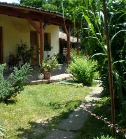 Süllőfészek Apartman 