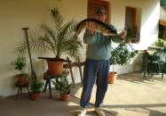 Süllőfészek Apartman Tiszafüred