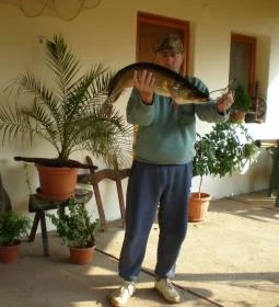 Süllőfészek Apartman 