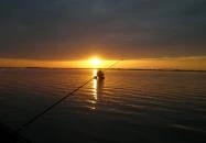 Süllőfészek Apartman Tiszafüred