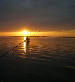 Süllőfészek Apartman 