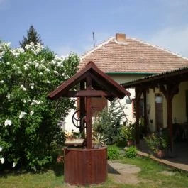 Süllőfészek Apartman Tiszafüred - Medence/kert