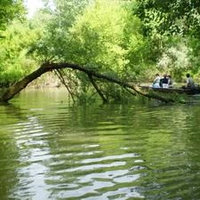 Süllőfészek Apartman Tiszafüred - Környék