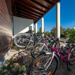 Tisza Balneum Hotel Tiszafüred - 