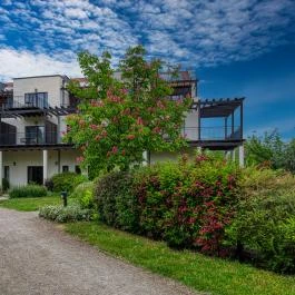 Tisza Balneum Hotel Tiszafüred - Egyéb