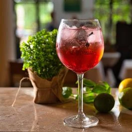 Tisza Balneum Hotel Tiszafüred - Vendéglátás