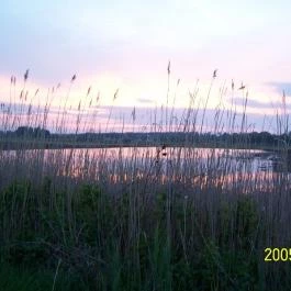 AAZ Pax Házak Tiszakécske - Környék