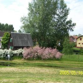 AAZ Pax Házak Tiszakécske - Medence/kert