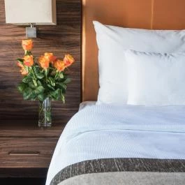 Barack Thermal Hotel & Spa Tiszakécske - Egyéb