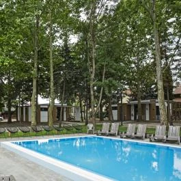 Barack Thermal Apartmanok Tiszakécske - Medence/kert