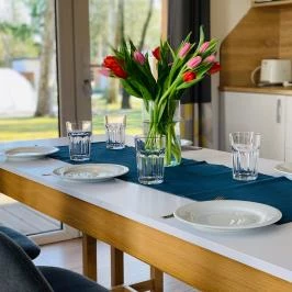 Barack Thermal Apartmanok Tiszakécske - Vendéglátás