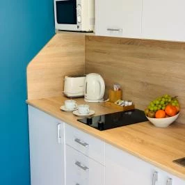 Barack Thermal Apartmanok Tiszakécske - Vendéglátás