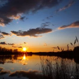 Barack Thermal Apartmanok Tiszakécske - Egyéb