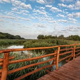 Barack Thermal Apartmanok Tiszakécske - Egyéb