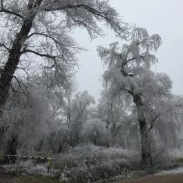Príma Vendégház Tiszakécske - Egyéb