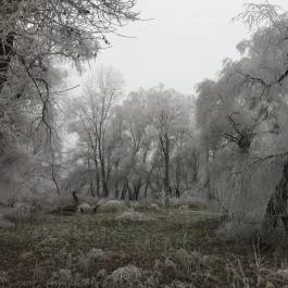 Príma Vendégház Tiszakécske - Egyéb