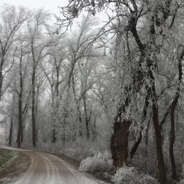 Príma Vendégház Tiszakécske - Egyéb