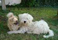 Csillik Vendégház Tiszanána