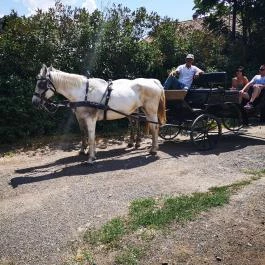 X-games Hotel, Sport és Rendezvényközpont Tiszaug - Környék
