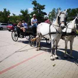 X-games Hotel, Sport és Rendezvényközpont Tiszaug - Környék