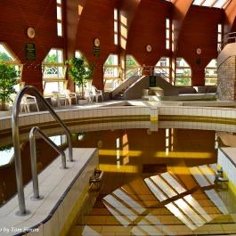 Tisia Hotel & Spa Tiszaújváros - Medence/kert