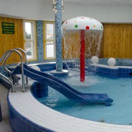 Tisia Hotel & Spa Tiszaújváros - Medence/kert