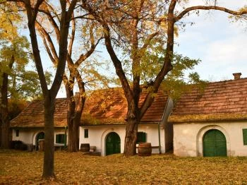 Tök - Töki pincesor