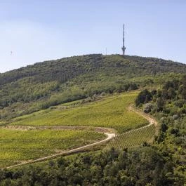 Tokaji TV-torony Tokaj - Egyéb