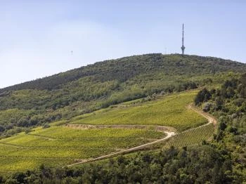 Tokaji TV-torony Tokaj